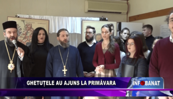 Ghetuțele au ajuns la Primăvara