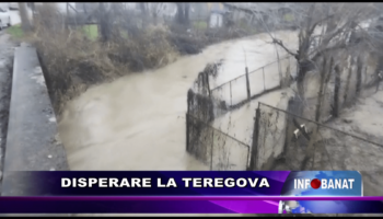 Disperare la Teregova