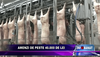 Amenzi de peste 40.000 de lei