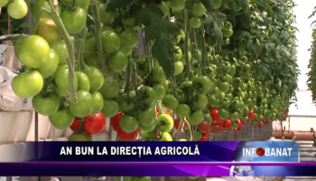 An bun la Direcția Agricolă