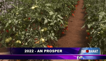 2022 – an prosper