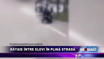 Bătaie între elevi în plină stradă