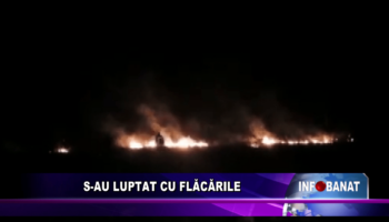 S-au luptat cu flăcările