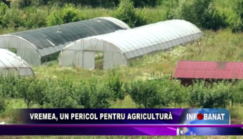 Vremea, un pericol pentru agricultură