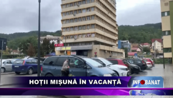 Hoții mișună în vacanță