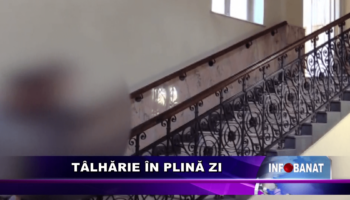 Tâlhărie în plină zi