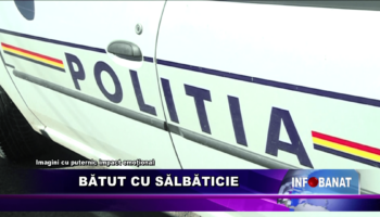 Bătut cu sălbăticie