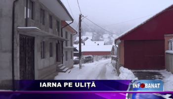 Iarna pe uliță