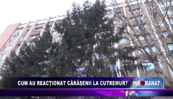 Cum au reacționat cărășenii la cutremur?