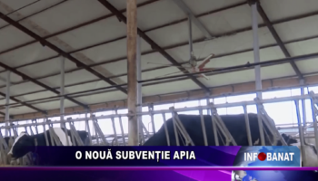 O nouă subvenție APIA