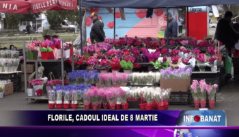 Florile, cadoul ideal de 8 martie