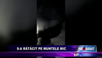 S-a rătăcit pe Muntele Mic