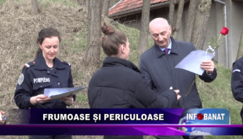 Frumoase și periculoase