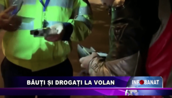 Băuți și drogați la volan