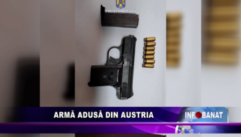 Armă adusă din Austria