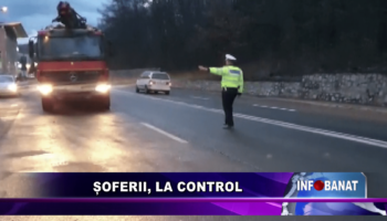 Șoferii, la control