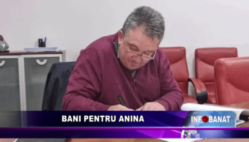 Bani pentru Anina