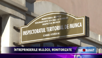 Întreprinderile mijlocii, monitorizate