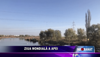 Ziua Mondială a Apei