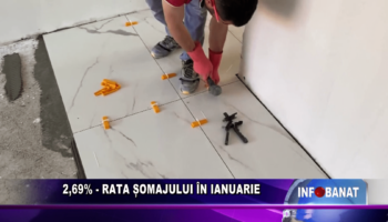 2,69%  – rata șomajului în ianuarie