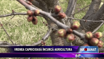 Vremea capricioasă încurcă agricultura