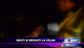 Băuți și drogați la volan