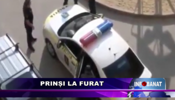 Prinși la furat