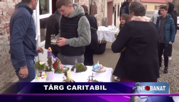 Târg caritabil