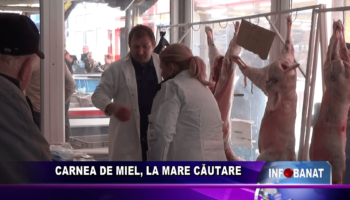 Carnea de miel, la mare căutare