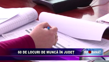 60 de locuri de muncă în județ