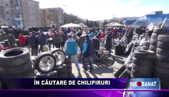 În căutare de chilipiruri