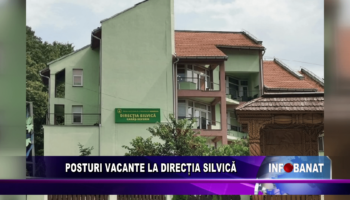 Posturi vacante la Direcția Silvică