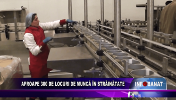 Aproape 300 de locuri de muncă în străinătate