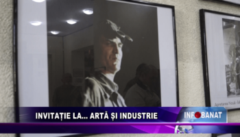 Invitație la…    artă și industrie