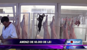 Amenzi de 60.000 de lei