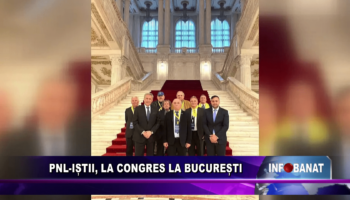 PNL-iștii, la congres la București