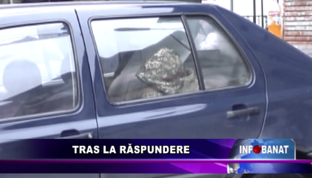 Tras la răspundere