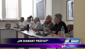 „Un diamant prăfuit”