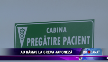 Au rămas la greva japoneză