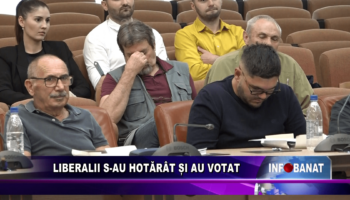 Liberalii s-au hotărât și au votat