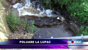 Poluare la Lupac