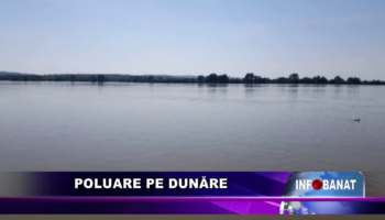 Poluare pe Dunăre