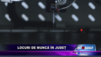 Locuri de muncă în județ