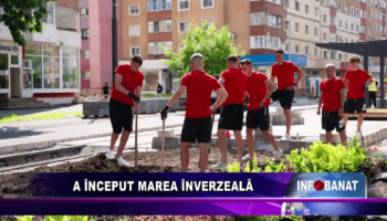 A început marea înverzeală