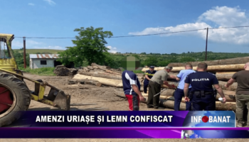 Amenzi uriașe și lemn confiscat