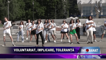 Voluntariat, implicare, toleranță