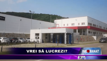 Vrei să lucrezi?