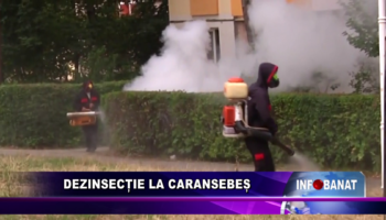 Dezinsecție la Caransebeș