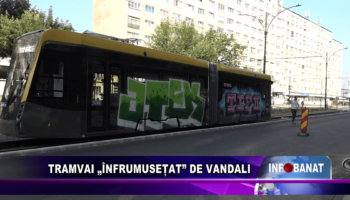 Tramvai „înfrumusețat” de vandali