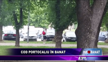 Cod portocaliu în Banat